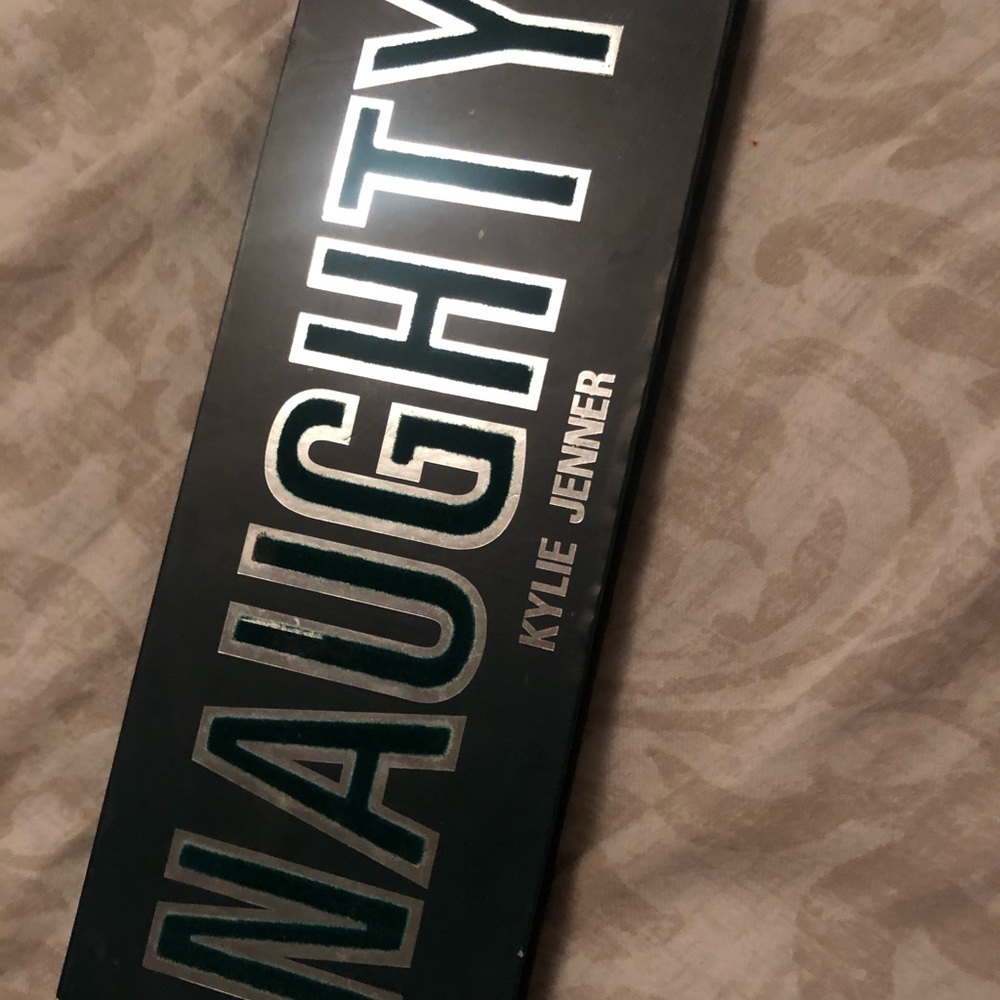 Naughty Kylie Jenner palette from last Christmas